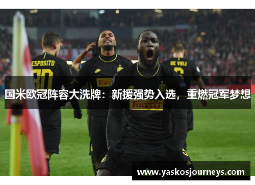 国米欧冠阵容大洗牌：新援强势入选，重燃冠军梦想