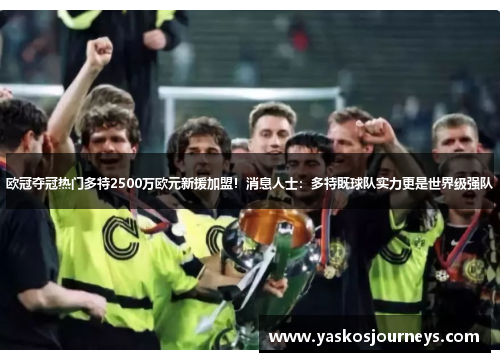 欧冠夺冠热门多特2500万欧元新援加盟！消息人士：多特既球队实力更是世界级强队