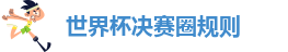 世界杯决赛圈规则